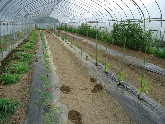 20110627-3 .JPG